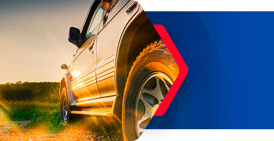 Diesel ecoxtreme