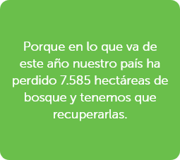 Grupo 614